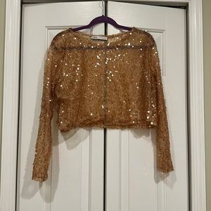 Zara sequin top crop top